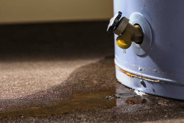Best Water damage cleanup near me  in Clarksville, IA