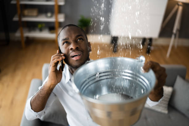 Best Basement water damage restoration  in Clarksville, IA