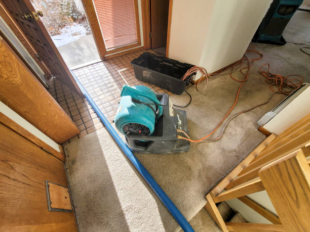 Best Water damage restoration specialists  in Clarksville, IA