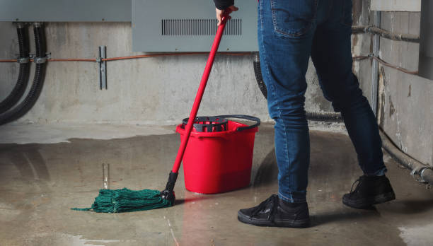 Best Emergency water extraction  in Clarksville, IA