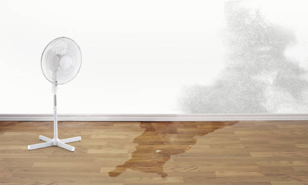 Professional Water damage restoration in IA