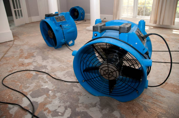 Best Flood damage cleanup  in Clarksville, IA