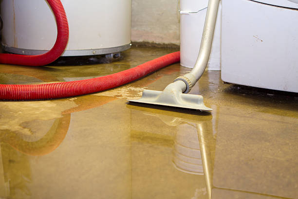 Best Basement water damage restoration  in Clarksville, IA