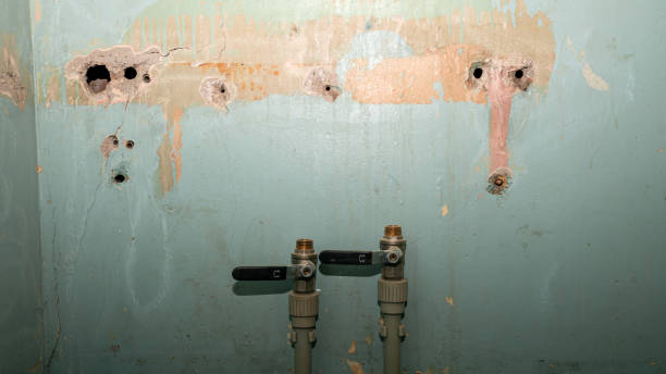 Best Mold removal after water damage  in Clarksville, IA