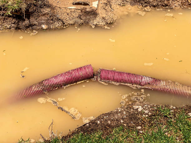 Water damage restoration experts in IA